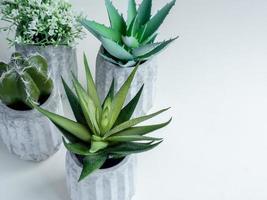 Concrete pot. Modern geometric concrete planter. photo