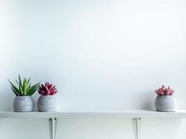 Concrete pot. Modern geometric concrete planter. photo