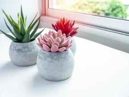 Concrete pot. Modern geometric concrete planter. photo