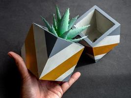 Modern geometric concrete planters. Beautiful painted concrete pots. photo