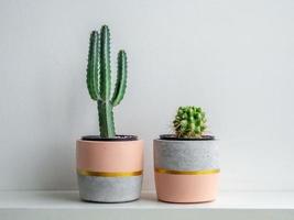 Modern geometric concrete planters. Beautiful painted concrete pots. photo