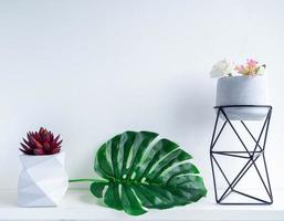 Cactus pot. Concrete pot. Modern geometric concrete planter. photo