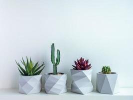 Cactus pot. Concrete pot. Modern geometric concrete planter. photo