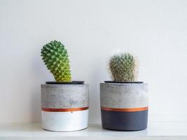 Colorful modern concrete planters with cactus plants. Painted concrete pots for home decoration photo