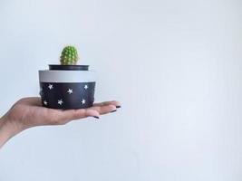 Hand showing black modern round concrete planter with green cactus plant. Painted concrete pot for home decoration photo