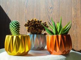 Gold, silver and copper painted geometric concrete planters with cactus and succulent plant. Painted concrete pots for home decoration photo