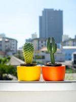 hermosos maceteros redondos de concreto con planta de cactus. macetas de hormigón pintadas de colores para la decoración del hogar foto