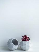 Concrete pot. Modern geometric concrete planter. photo