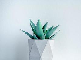 Concrete pot. Modern geometric concrete planter. photo