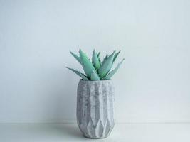 Concrete pot. Modern geometric concrete planter. photo