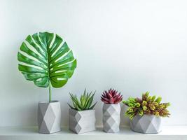 Concrete pot. Modern geometric concrete planter. photo