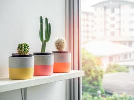 Modern geometric concrete planters. Beautiful painted concrete pots. photo