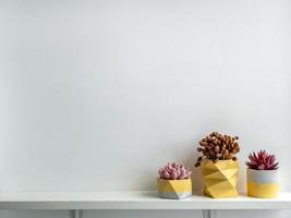 Modern geometric concrete planters. Beautiful painted concrete pots. photo