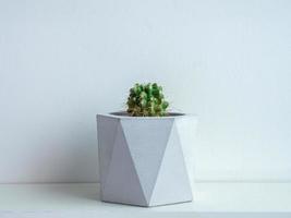 Cactus pot. Concrete pot. Modern geometric concrete planter. photo