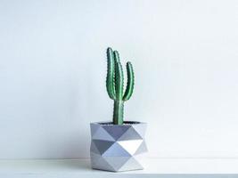 Cactus pot. Concrete pot. Modern geometric concrete planter. photo