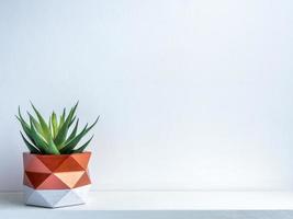 Cactus pot. Concrete pot. Modern geometric concrete planter. photo