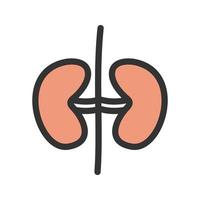 Kidneys Filled Line Icon vector