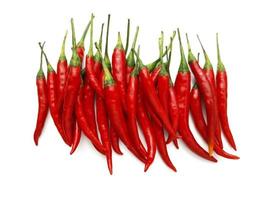 chilli isolated on white background photo