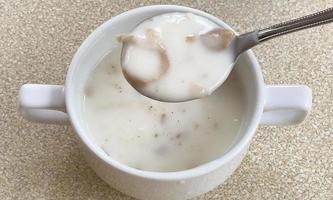 sopa de champiñones, crema de champiñones o sopa cremosa de champiñones en taza blanca foto