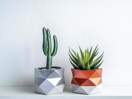 Cactus pot. Concrete pot. Modern geometric concrete planter. photo