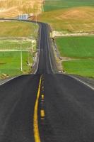 Road through the curvy green fields of Palouse in Washington, USA photo