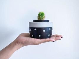 Hand showing black modern round concrete planter with green cactus plant. Painted concrete pot for home decoration photo