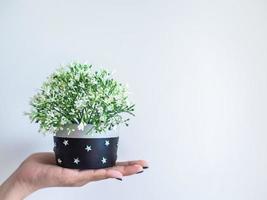 Hand showing black modern round concrete planter with white flower. Painted concrete pot for home decoration photo