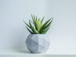 Concrete pot. Modern geometric concrete planter. photo