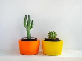 Beautiful round concrete planters with cactus plant. Colorful painted concrete pots for home decoration photo