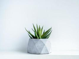 Concrete pot. Modern geometric concrete planter. photo