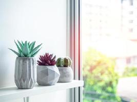 Concrete pot. Modern geometric concrete planter. photo