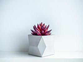 Concrete pot. Modern geometric concrete planter. photo