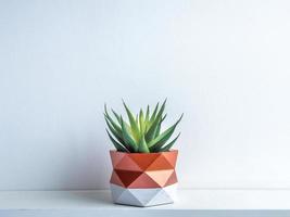 Cactus pot. Concrete pot. Modern geometric concrete planter. photo