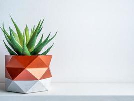 Cactus pot. Concrete pot. Modern geometric concrete planter. photo