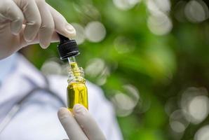 The hands of scientists dropping marijuana oil for experimentation and research, ecological hemp plant herbal pharmaceutical cbd oil from a jar. photo