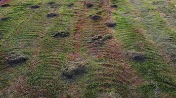 Heap of dry grass in field video