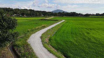 mouvement aérien sur le chemin rural sinueux video