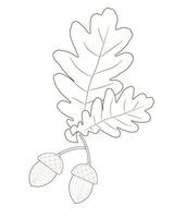 silhouette of oak leaves and acorns280622 vector