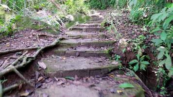 langsame Bewegung an der Treppe video