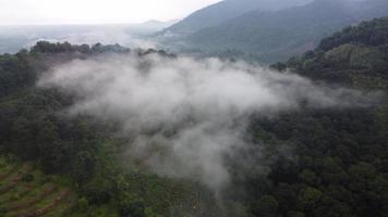 aéreo volar lejos plantación de banano rural video