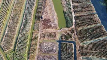 l'escavatore con vista drone coltiva la terra video