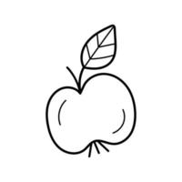 manzana. icono de garabato de fruta. estilo de boceto dibujado a mano. ilustración vectorial aislada. vector