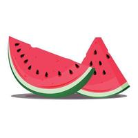 Ripe and juicy watermelon slices on white background vector