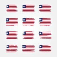 Liberia Flag Brush Collections. National Flag vector