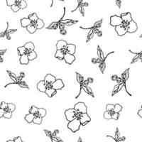 Vector pattern with jasmine flowers, hand-drawn liner.  For textiles, wallpaper, packaging, paper. Isolate.