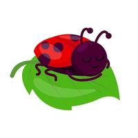 Cute ladybug mascot design vector