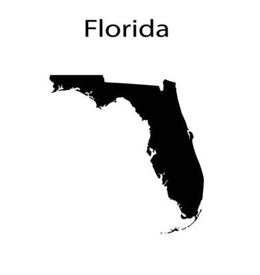 Florida Map Silhouette in White Background