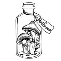silhouette of poisonous mushrooms in bottle with label, jar with branch of leaves. one element. outline of oyster mushrooms. Mystical vintage vector illustration for print, internet, fabric. doodle
