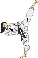 taekwondo kick vector