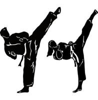 Ilustración de vector de patada de taekwondo